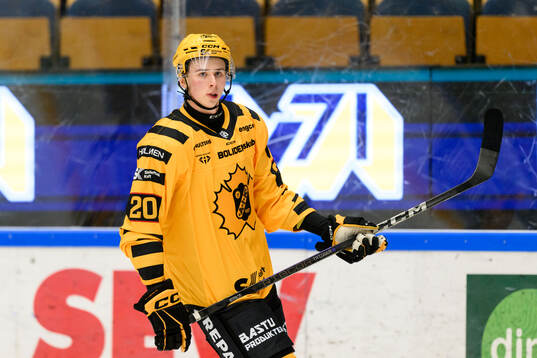 Skellefteås Zeb Lindgren