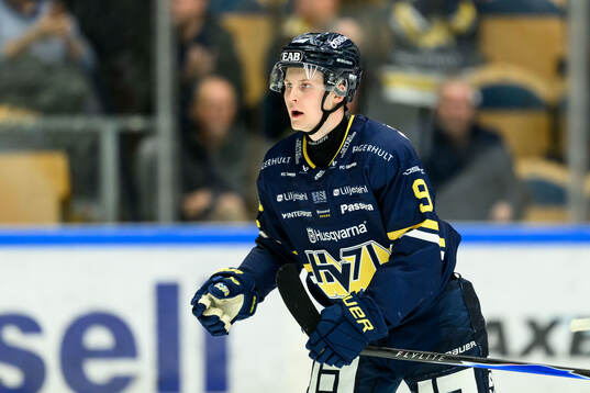 HV71s Hugo Pettersson jublar