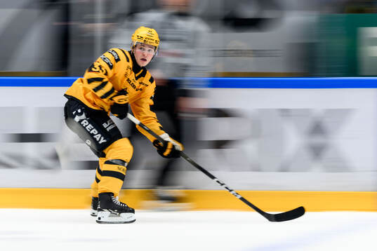 Skellefteås Zeb Forsfjäll