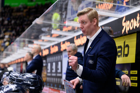 HV71s tränare Anton Blomqvist