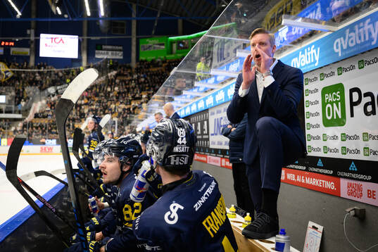 HV71s tränare Anton Blomqvist