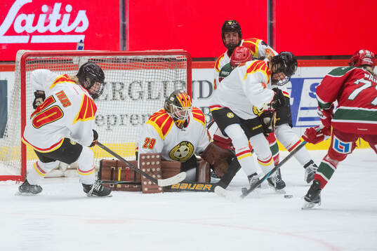 Brynäs målvakt Klara Peslarova