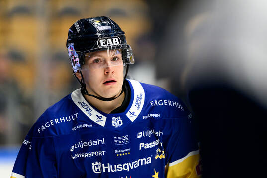 HV71s Eddie Levin