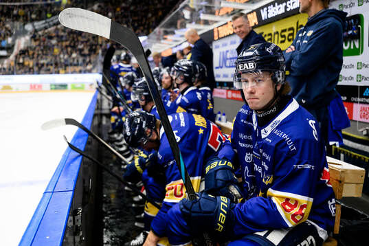 HV71s Wille Magnertoft