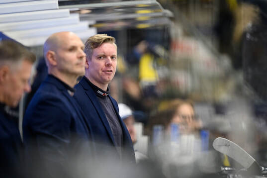 HV71s tränare Anton Blomqvist