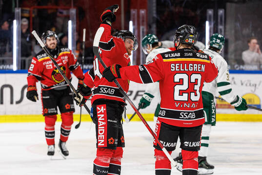Luleås Jesper Sellgren och Brendan Shinnimin jublar