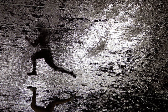 This picture is part of Bildbyrån’s selection of best