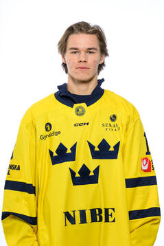Casper Juustovaara Karlsson poses for a portrait