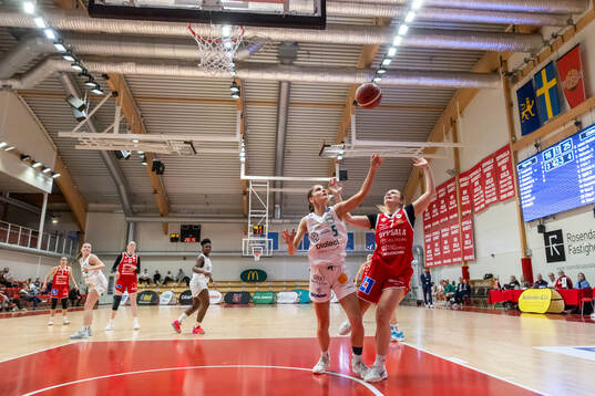 Södertäljes Tina Panic och Uppsalas Lisa Bolander