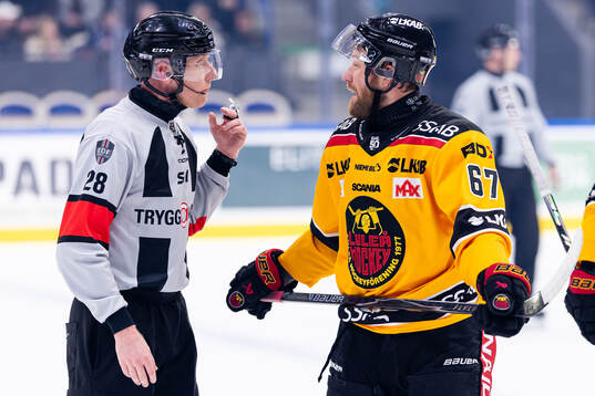 domare Mikael Holm och Luleås Linus Omark