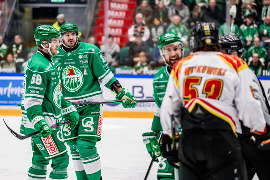 Rögles Dennis Everberg och Brynäs Luke Witkowski