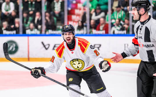 Brynäs Tyler Vesel reagerar på ett domslut