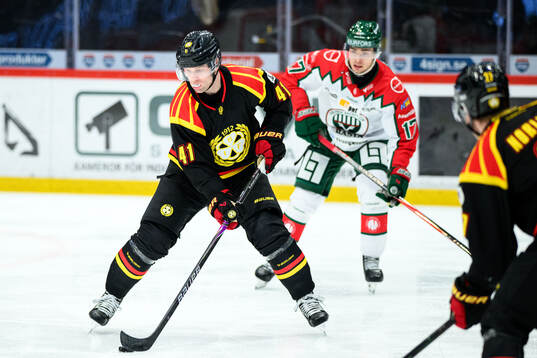 Brynäs Greg Scott