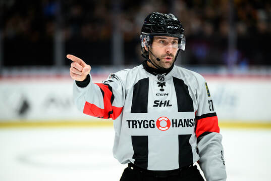 Domare Mikael Sjöqvist