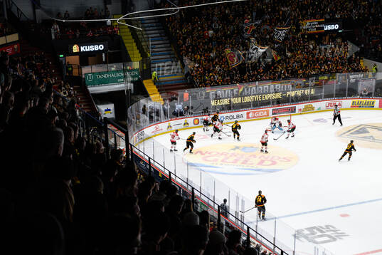 Monitor ERP Arena