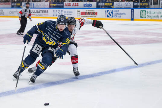 HV71s Andreas Borgman och Malmö Redhawks Linus Öberg
