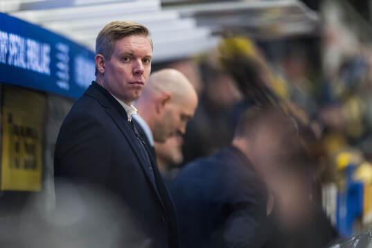 HV71s tränare Anton Blomqvist