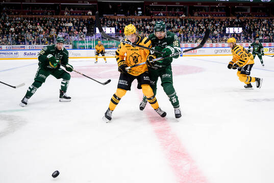 Skellefteås Rasmus Bergqvist och Färjestads David Tomasek