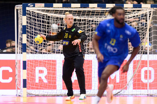 Goalkeeper Mikael Apelgren of Sweden