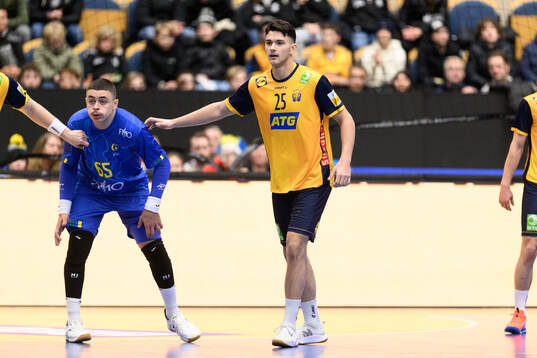 Nikola Roganovic of Sweden