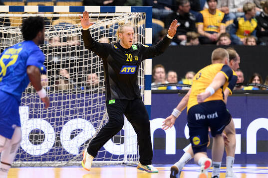 Goalkeeper Mikael Apelgren of Sweden