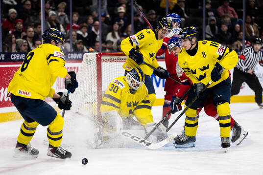 Felix Carell, goaltender Love Härenstam, William