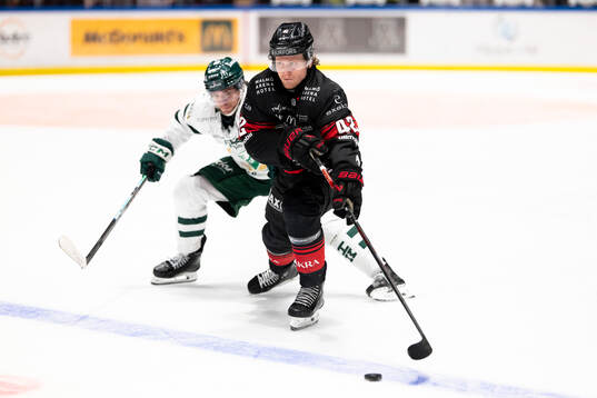 Malmö Redhawks Robin Salo