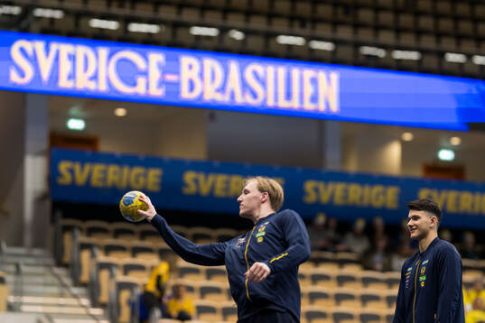 Eric Johansson and Nikola Roganovic of Sweden