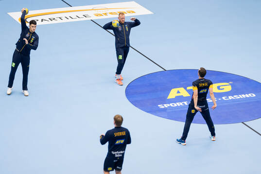 Nikola Roganovic and Jim Gottfridsson of Sweden