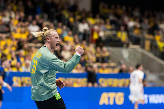 Goalkeeper Mikael Appelgren of Sweden celebrates