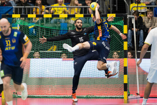 Goalkeeper Rangel da Rosa of Brazil and Sebastian Karlsson
