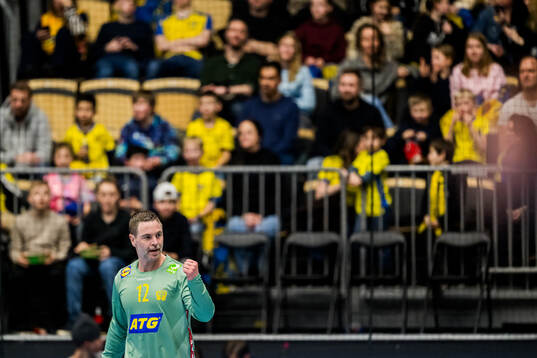 Goalkeeper Andreas Palicka of Sweden celebrates