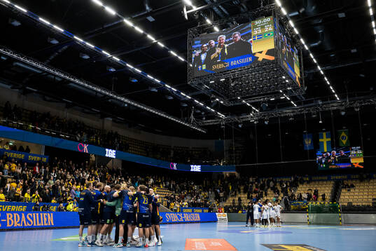 Players of Sweden celebrate