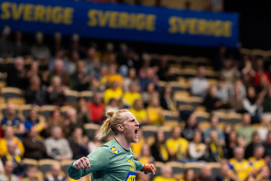 Goalkeeper Mikael Appelgren of Sweden celebrates