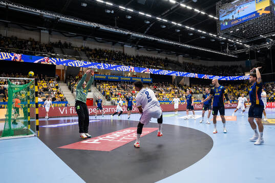 Goalkeeper Mikael Appelgren of Sweden and Edney Oliveira of