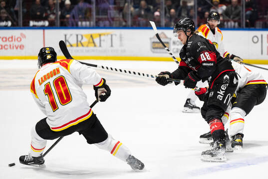 Malmö Redhawks Lauri Pajuniemi