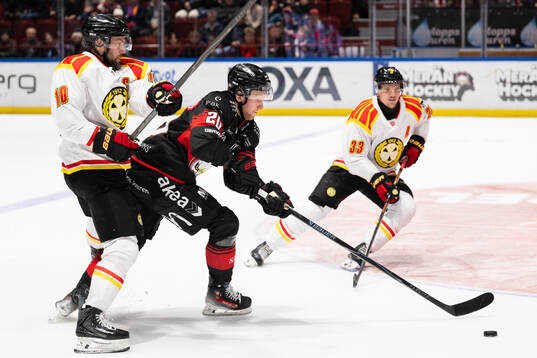 Malmö Redhawks Thomas Berg Paulsen