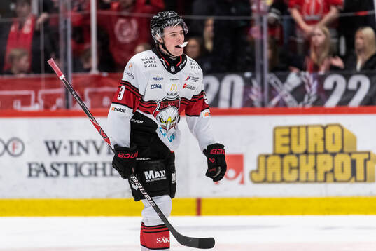 Malmö Redhawks Kalle Hemström deppar