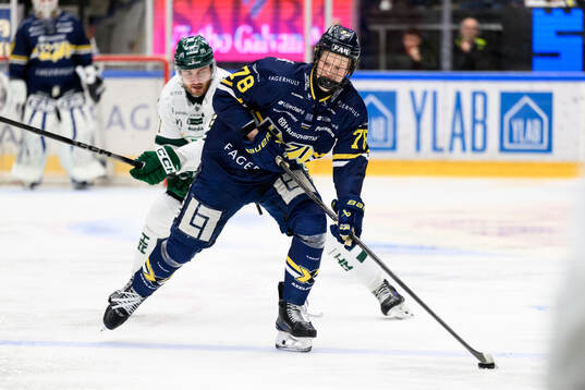 HV71s Malte Gustafsson