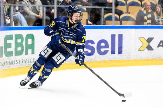 HV71s Malte Gustafsson