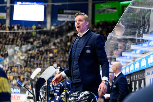 HV71s tränare Anton Blomqvist