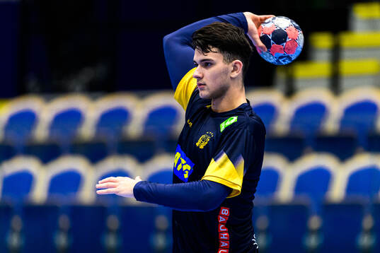 Nikola Roganovic