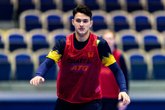 Nikola Roganovic