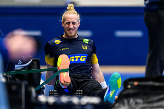 Goalkeeper Mikael Appelgren