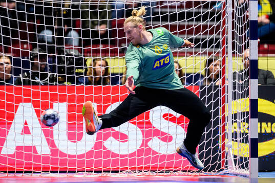 Goalkeeper Mikael Appelgren of Sweden