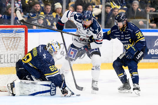 HV71s målvakt Felix Sandström och Linköpings Robin