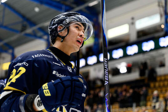Bläddra bland fler bilder av Ishockey, SHL, HV71 - Linköping