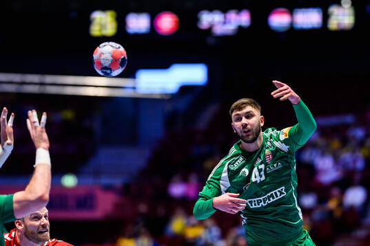 Zoran Ilic of Hungary