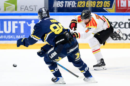Brynäs Michal Kempny