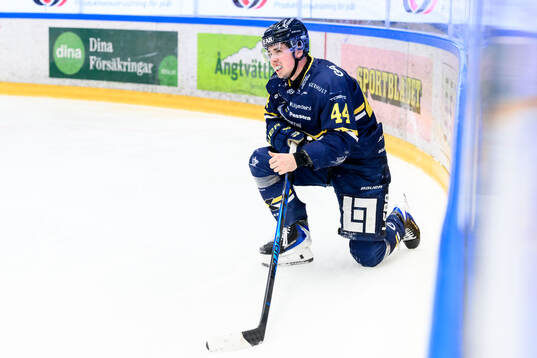 HV71s Hugo Fransson deppar
